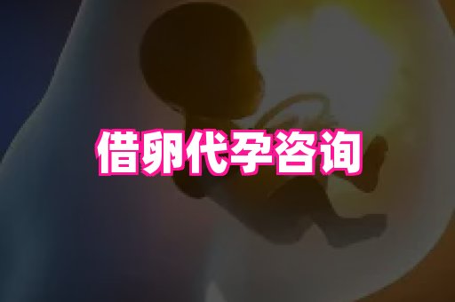 潍坊助孕网 3